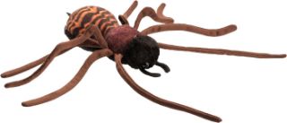 Obrázek z Pavouk pokoutník domácí plyš 17cm 